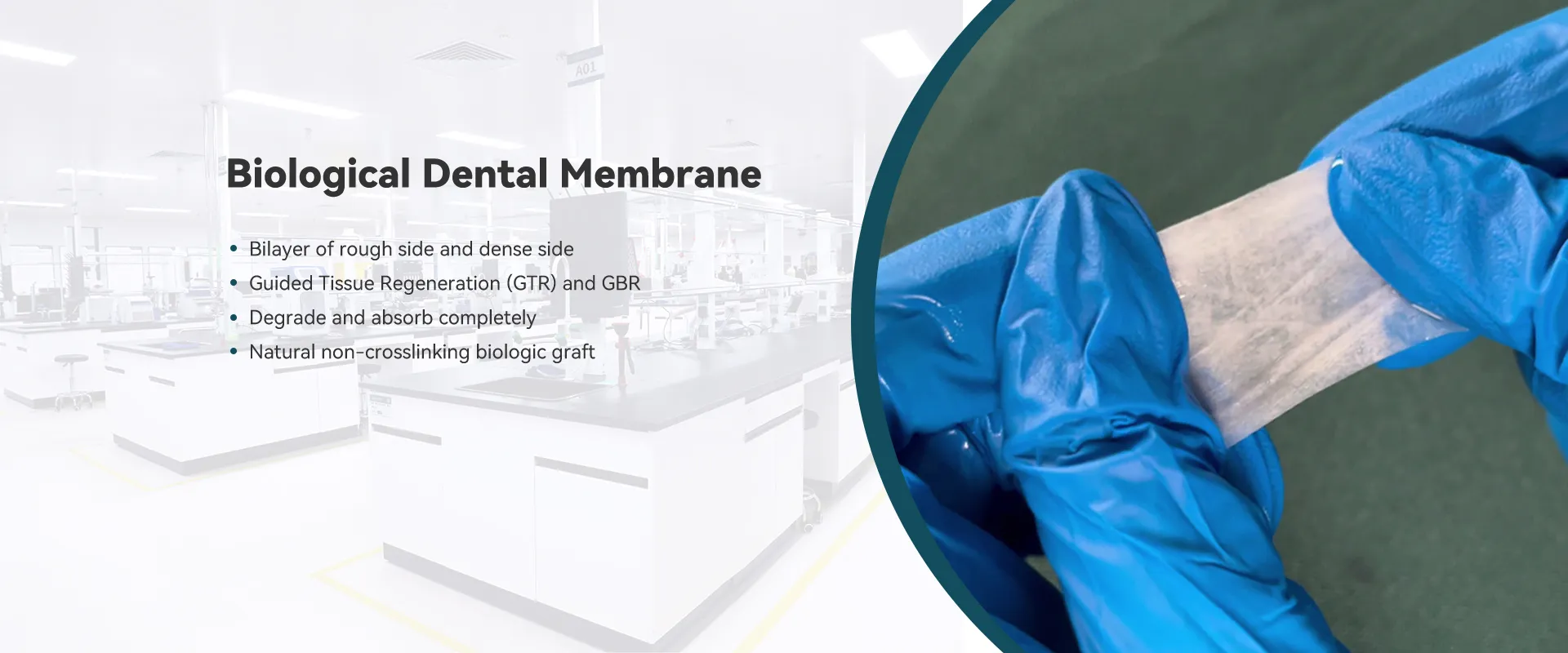 Biological Dental Membrane