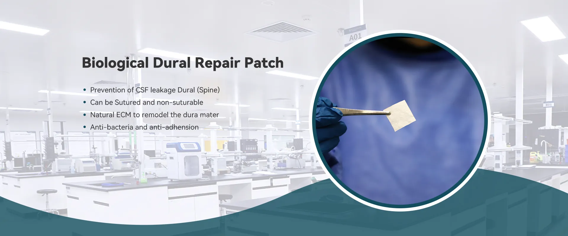 Biological Dural Repair Patch
